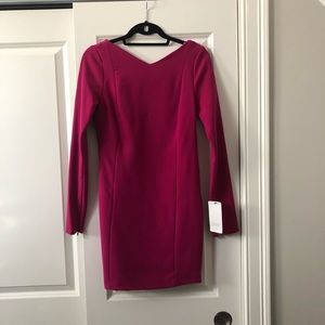 Dark pink, long sleeve Zara dress, open back, NWT.